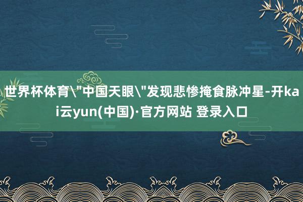 世界杯体育