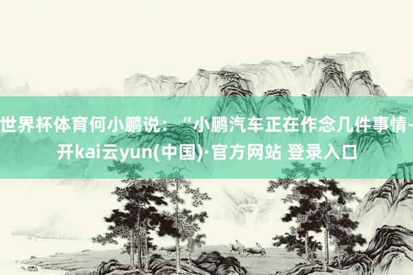世界杯体育　　何小鹏说：“小鹏汽车正在作念几件事情-开kai云yun(中国)·官方网站 登录入口