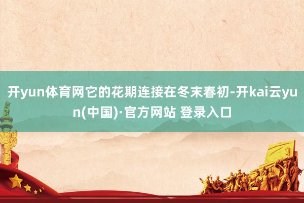 开yun体育网它的花期连接在冬末春初-开kai云yun(中国)·官方网站 登录入口