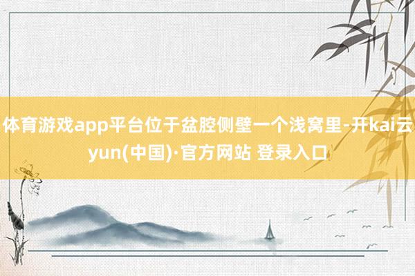 体育游戏app平台位于盆腔侧壁一个浅窝里-开kai云yun(中国)·官方网站 登录入口